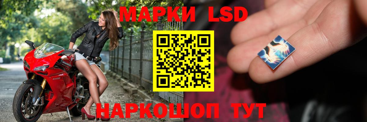 LSD-25 экстази ecstasy  Вход с VPN  LSD-25 экстази  ЛСД экстази ecstasy  Новозыбков 