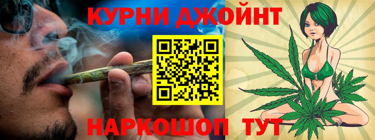 МАРИХУАНА марихуана  Конопля план  Вход с VPN  МАРИХУАНА ГИДРОПОН  Новозыбков 